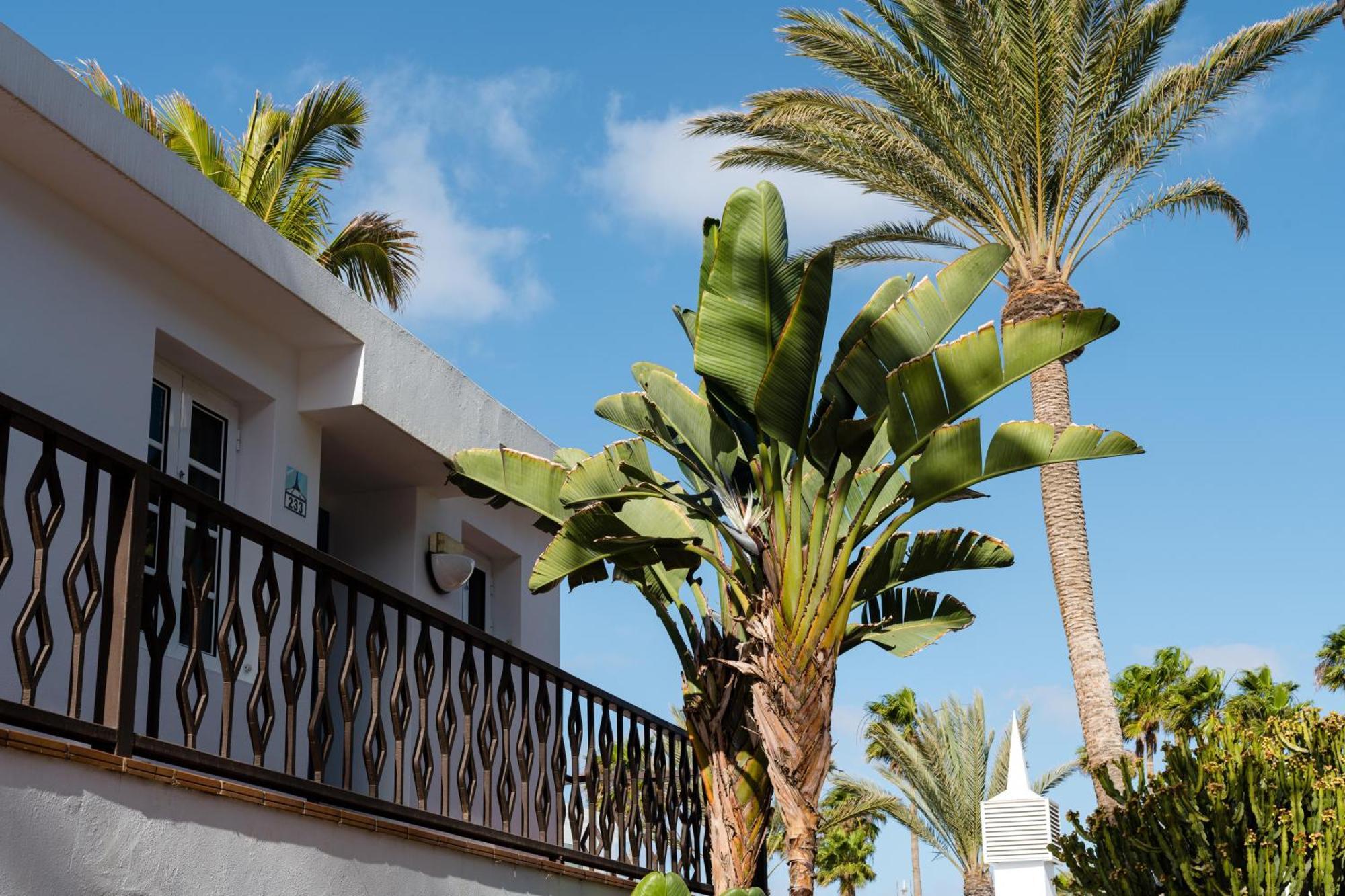Plus Fariones Apartamentos Puerto del Carmen  Eksteriør billede