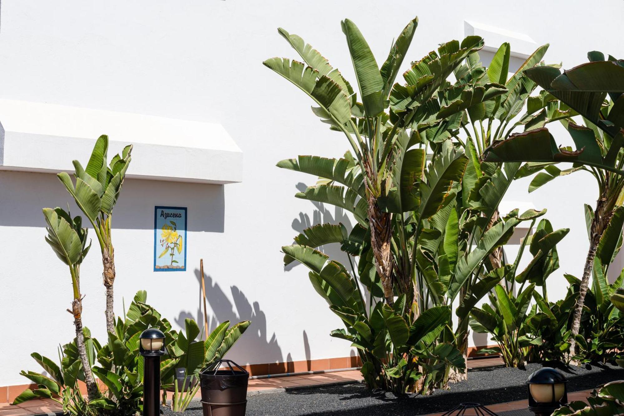 Plus Fariones Apartamentos Puerto del Carmen  Eksteriør billede